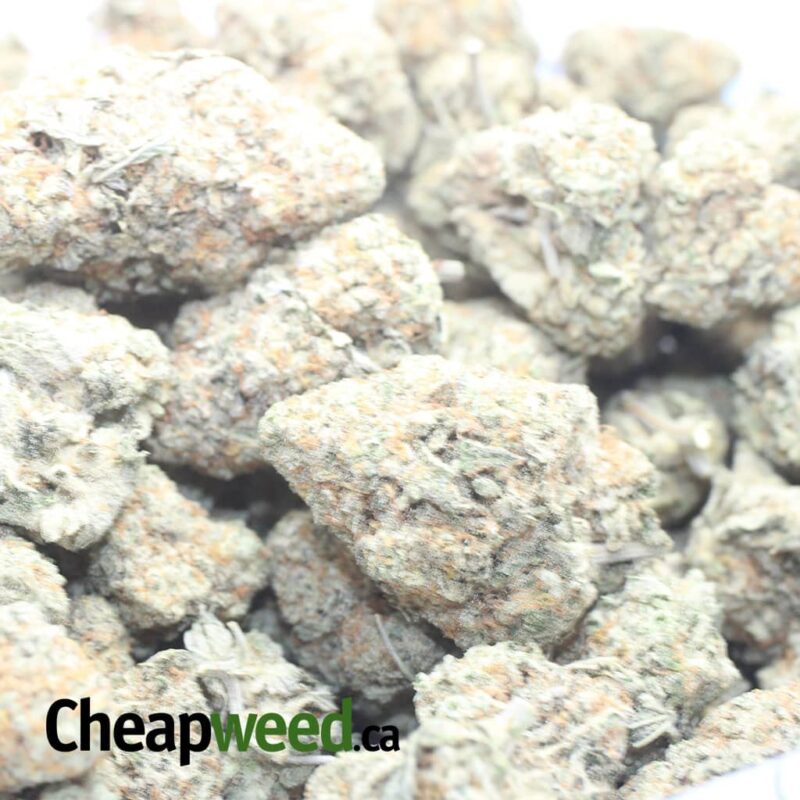 Venom OG - Image 3