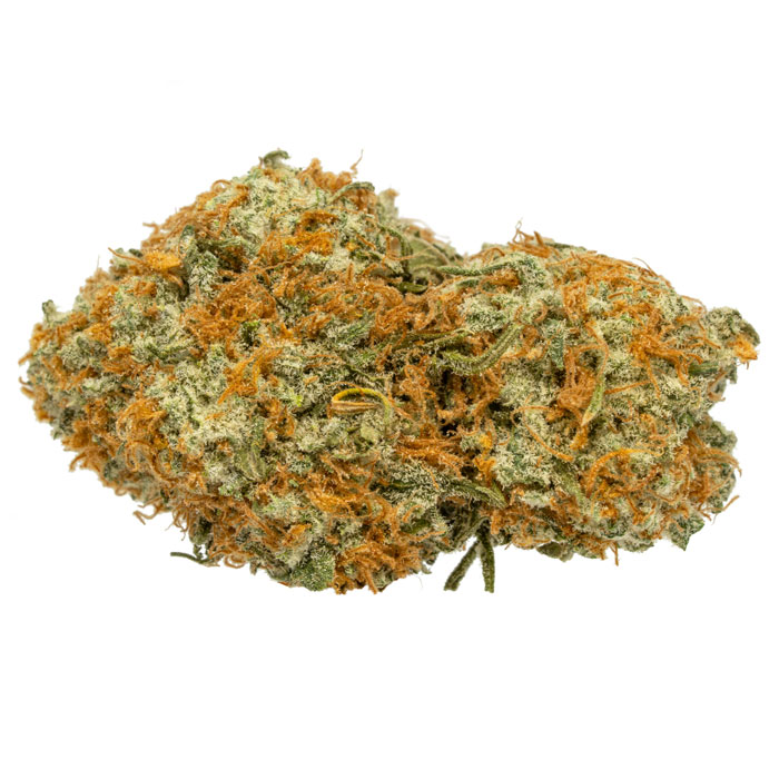Vanilla Gorilla