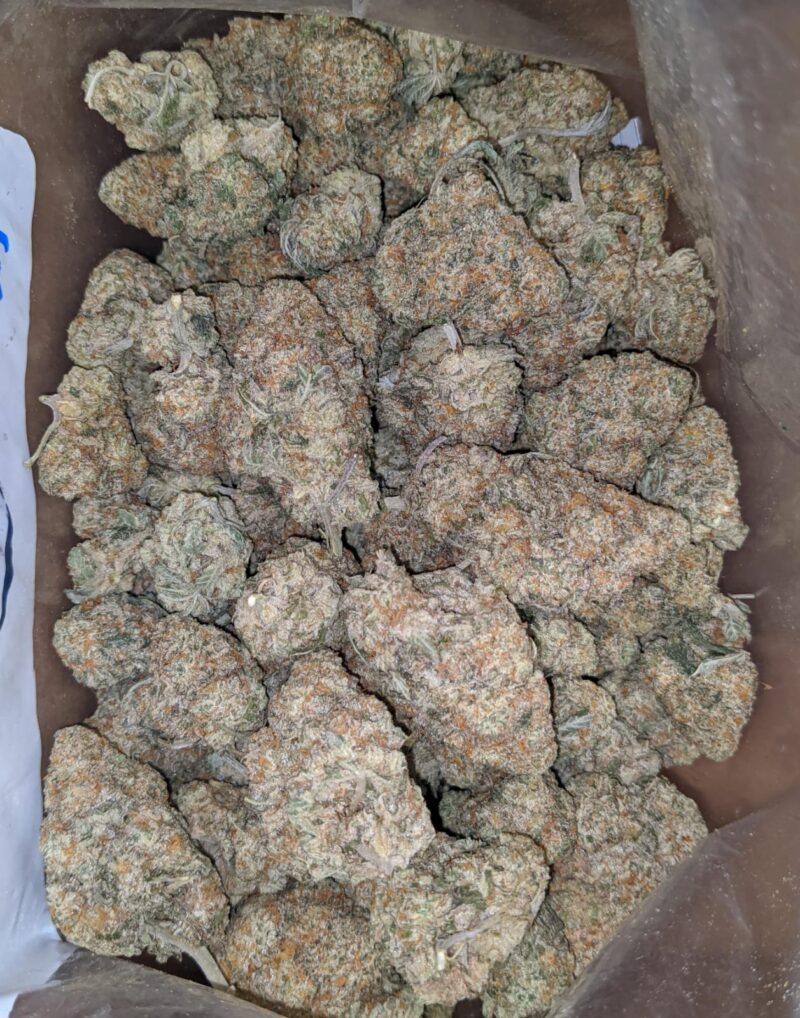 Venom OG - Image 5