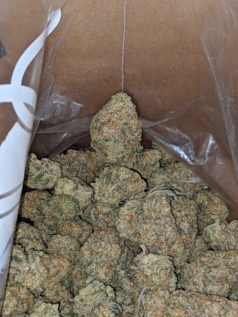 Venom OG - Image 7