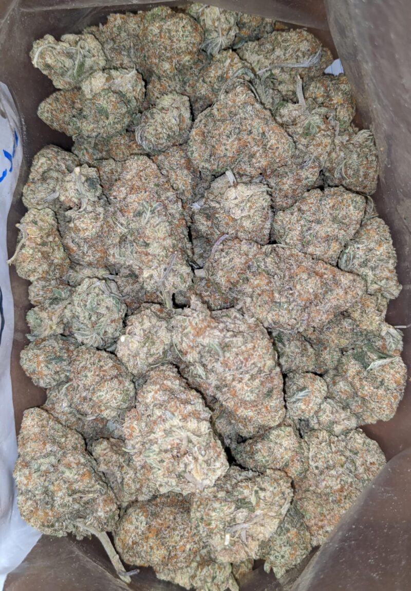 Venom OG - Image 6