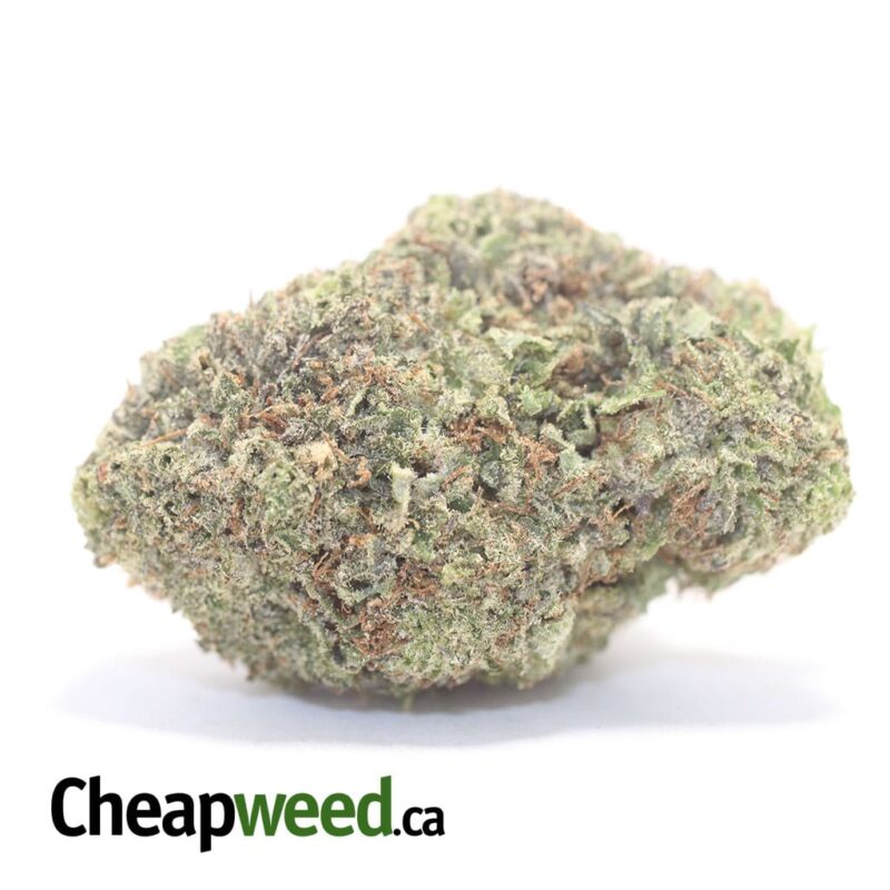 White Durban