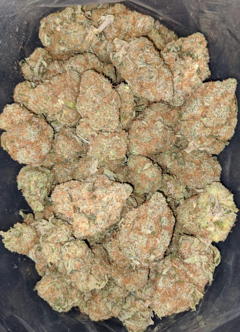 White Cheese