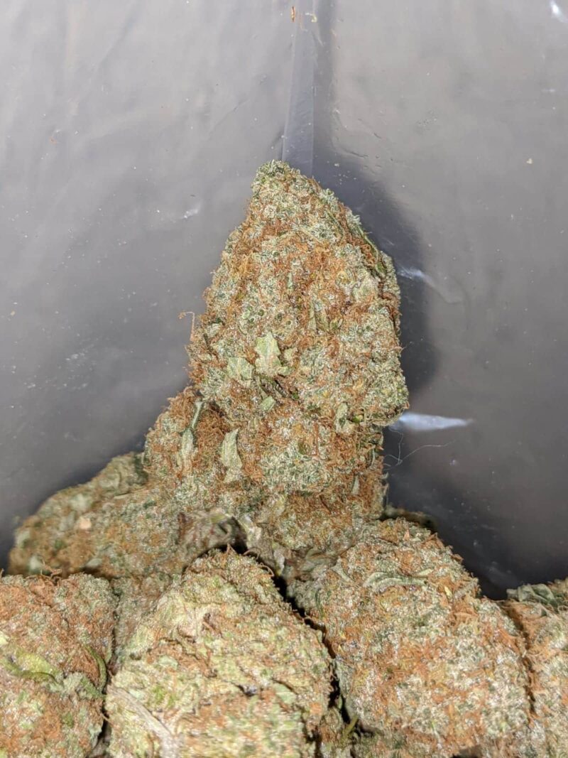White Cheese - Image 4