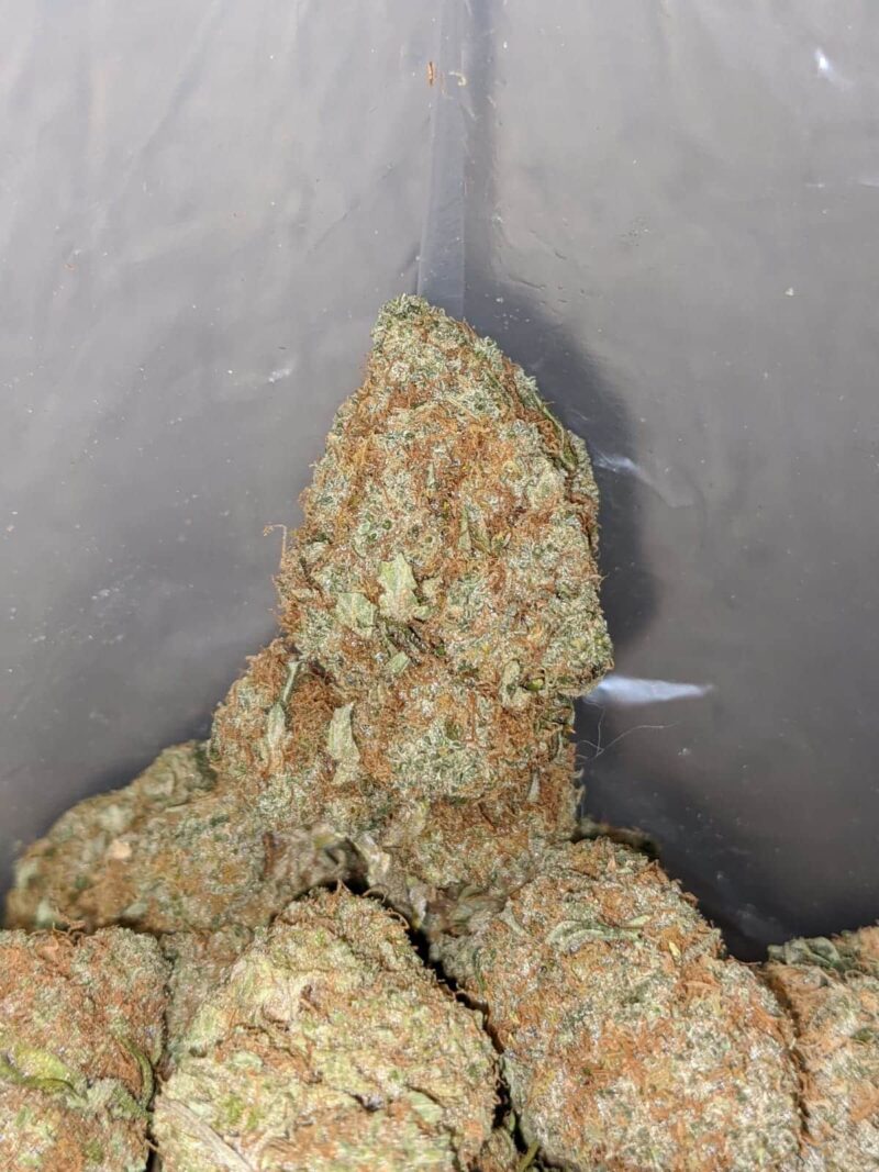 White Cheese - Image 5