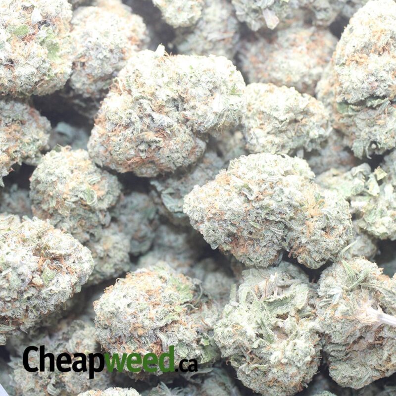 White Cookies - Image 3