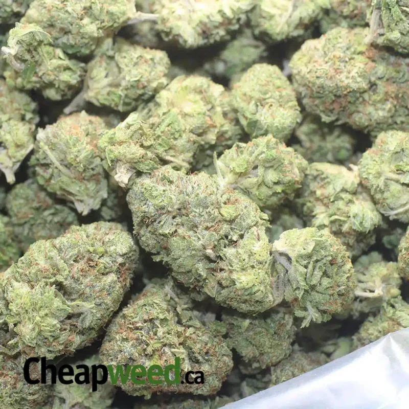 White Fire OG - Image 3