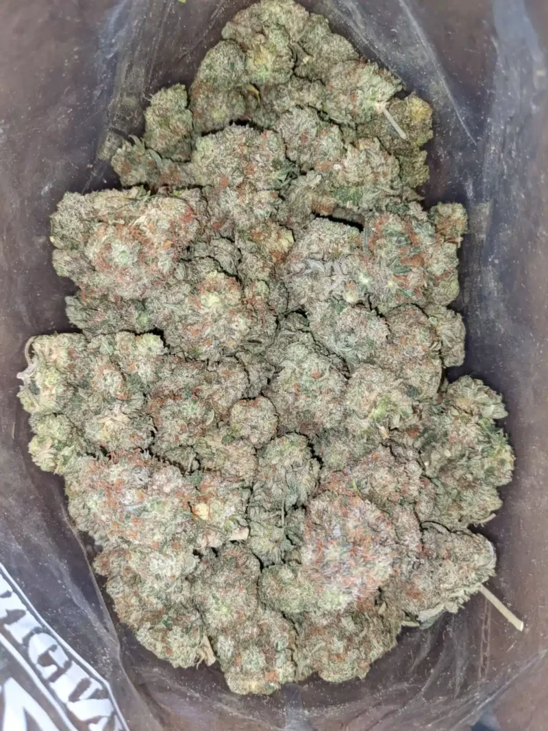 WiFi OG - Image 2