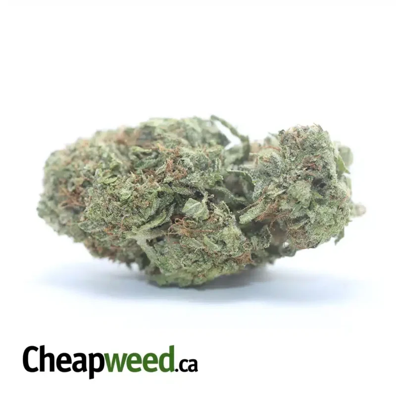 White Fire OG