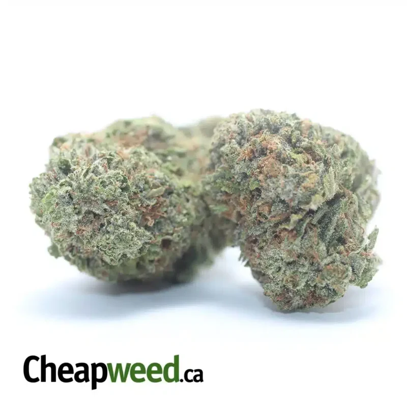 White Fire OG - Image 2