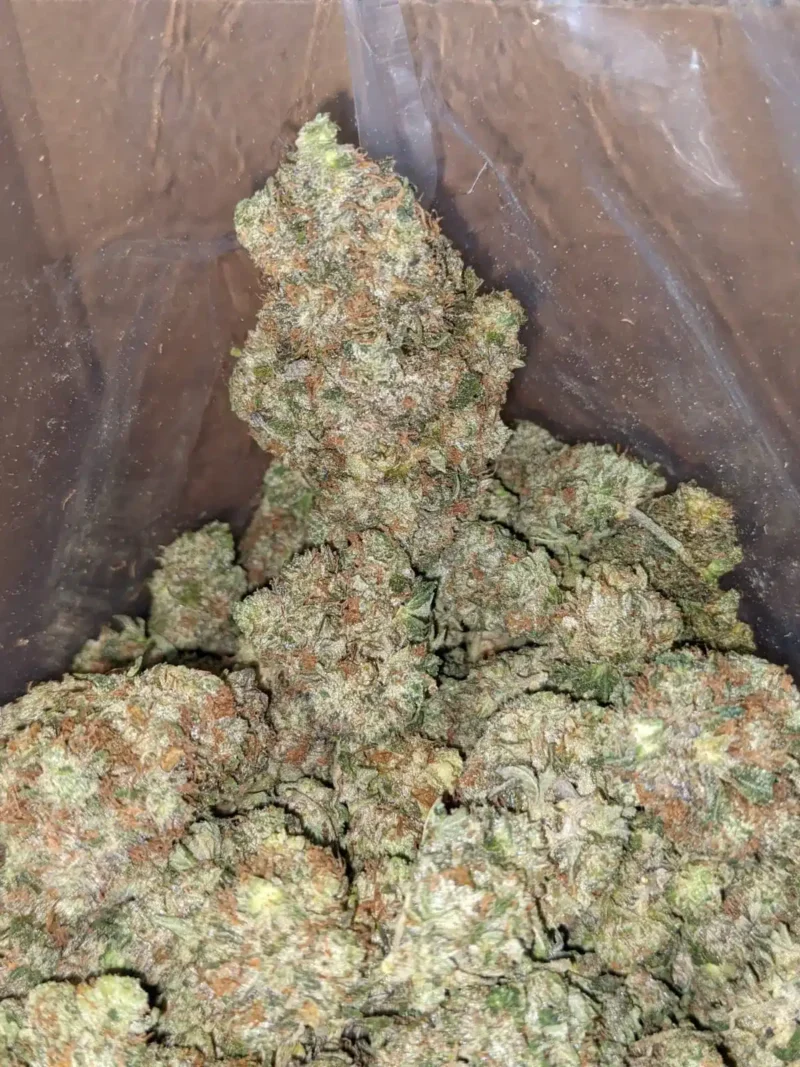 WiFi OG - Image 4