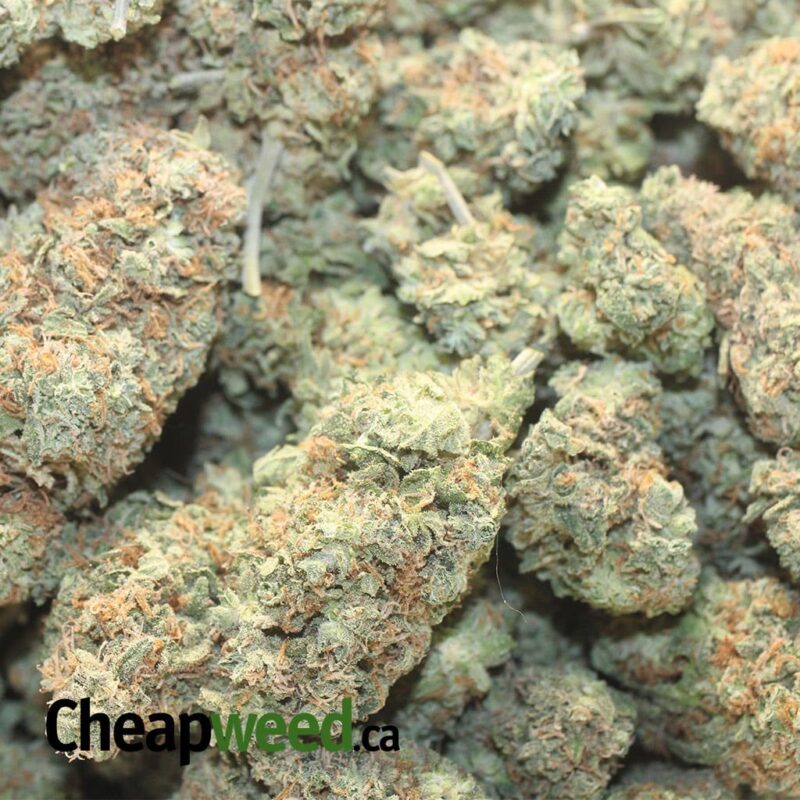 White Tahoe - Image 3