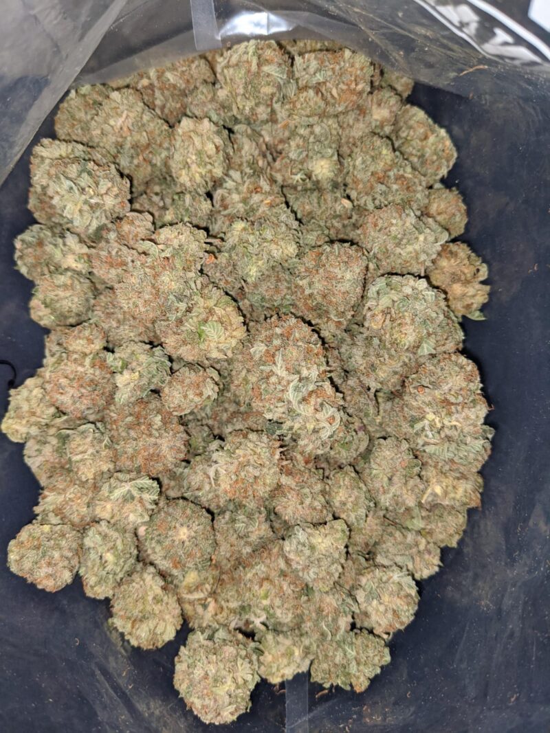White Widow