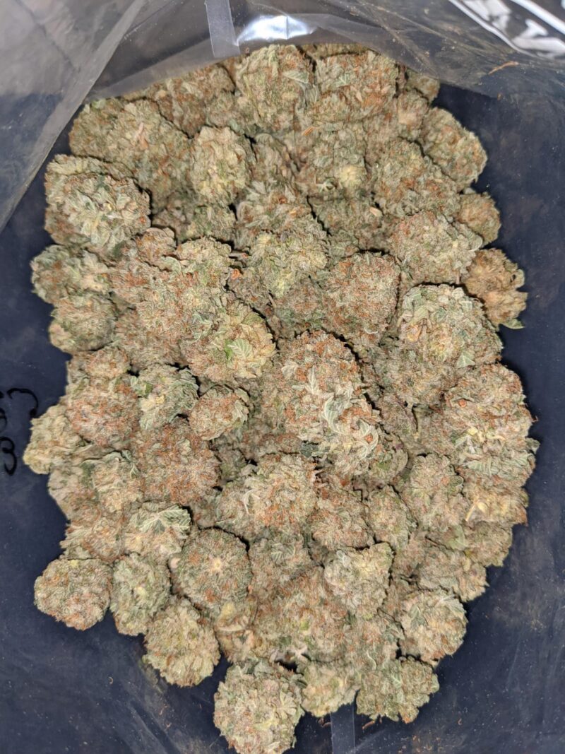 White Widow - Image 4