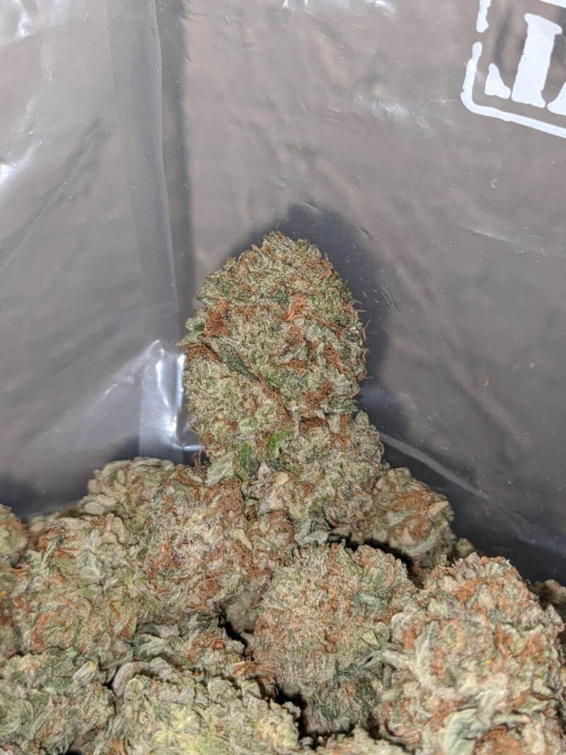 White Widow - Image 2