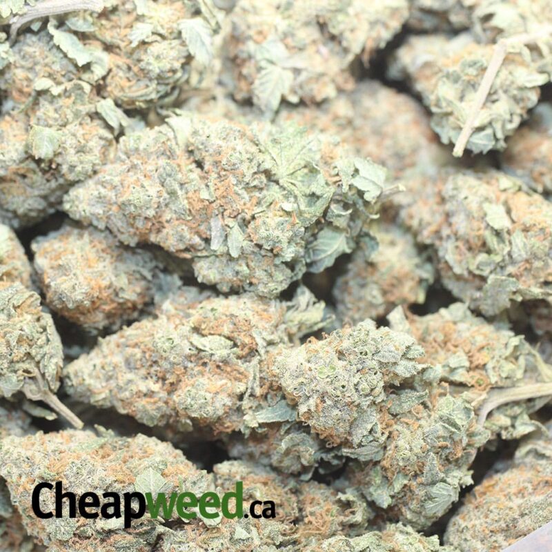 White Strawberry Cough - Image 3