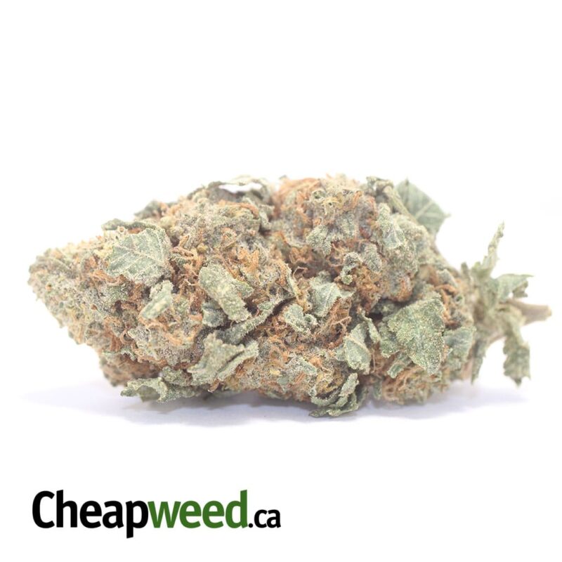 White Strawberry Cough