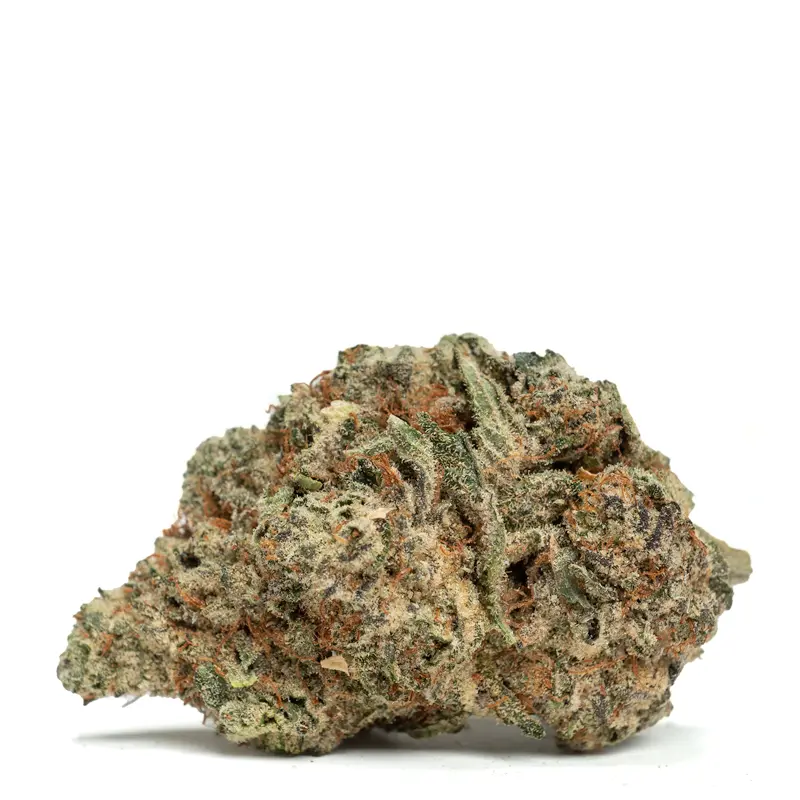Walter White