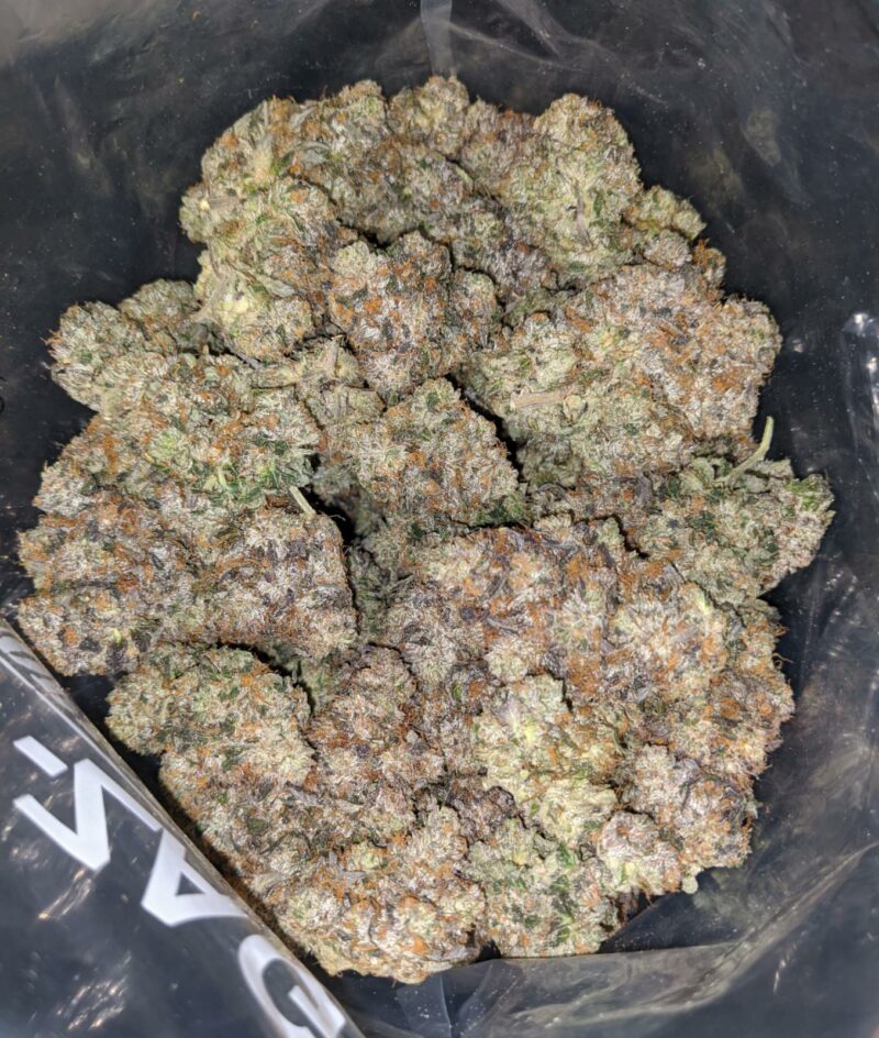 Platinum Rockstar - Image 7