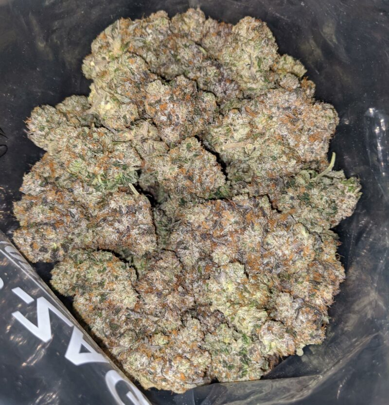 Platinum Rockstar - Image 6