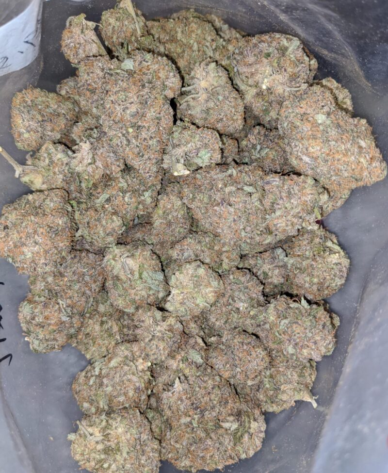 Purple Mendo Breath - Image 6