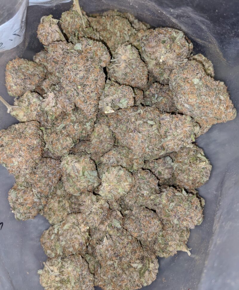 Purple Mendo Breath - Image 4