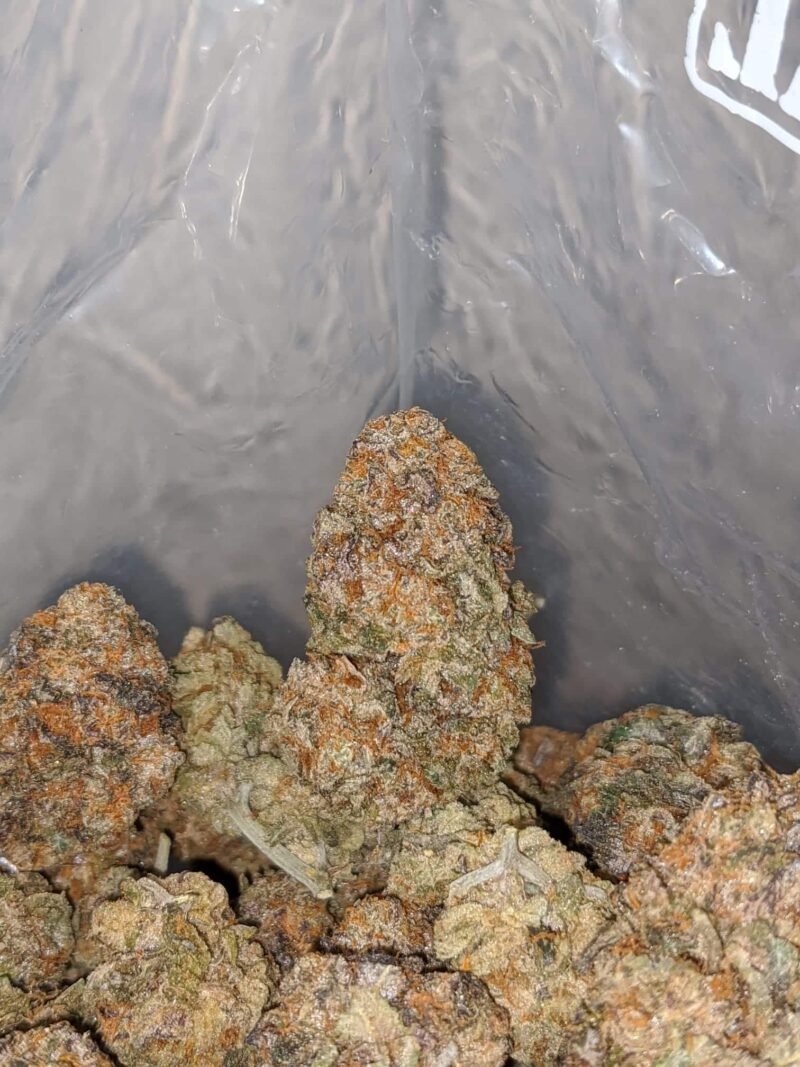 $ 50 – Grape Runtz - Image 5