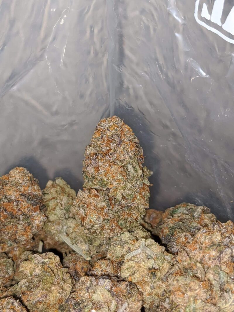 $ 50 – Grape Runtz