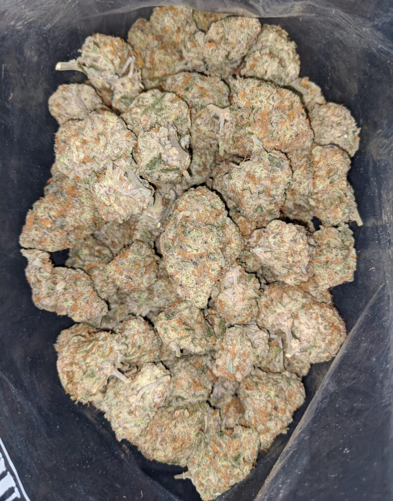 Jungle Cake - Image 6