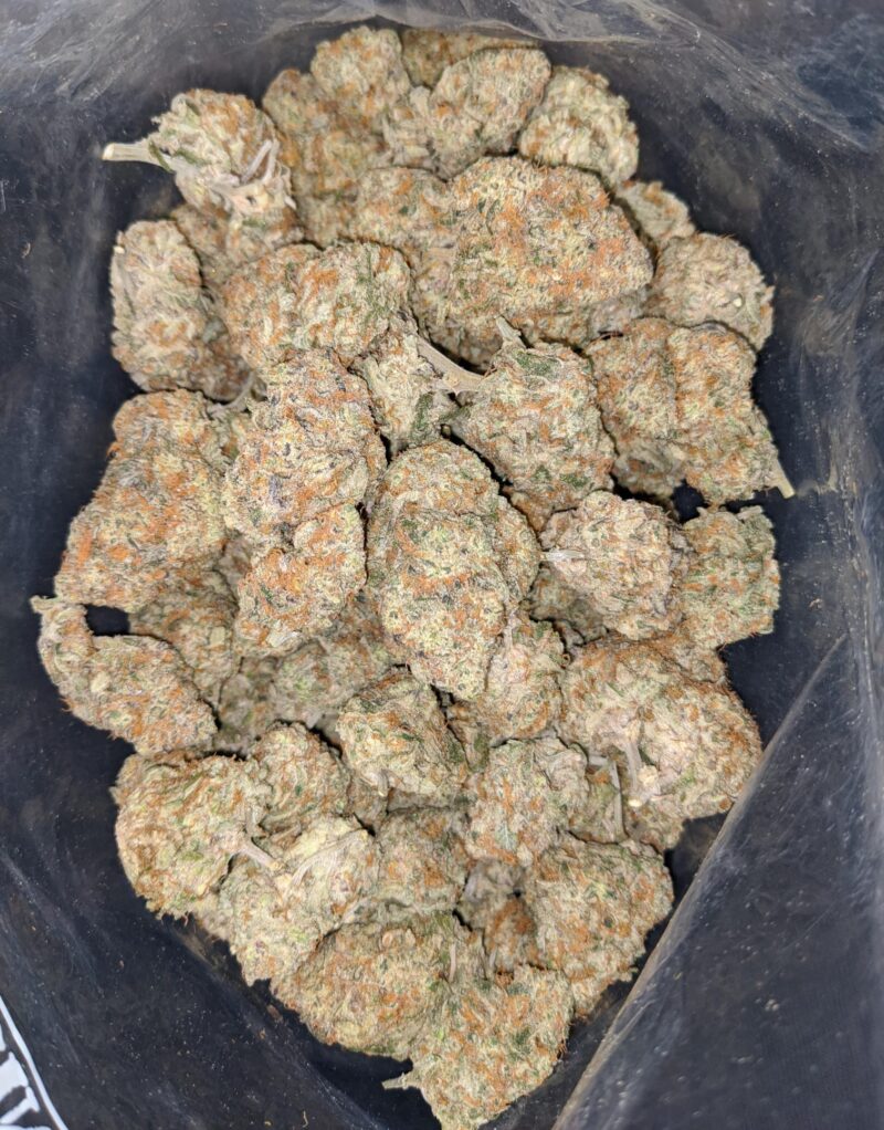 Jungle Cake - Image 5