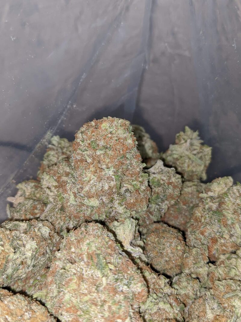 UK Cheese - Image 4