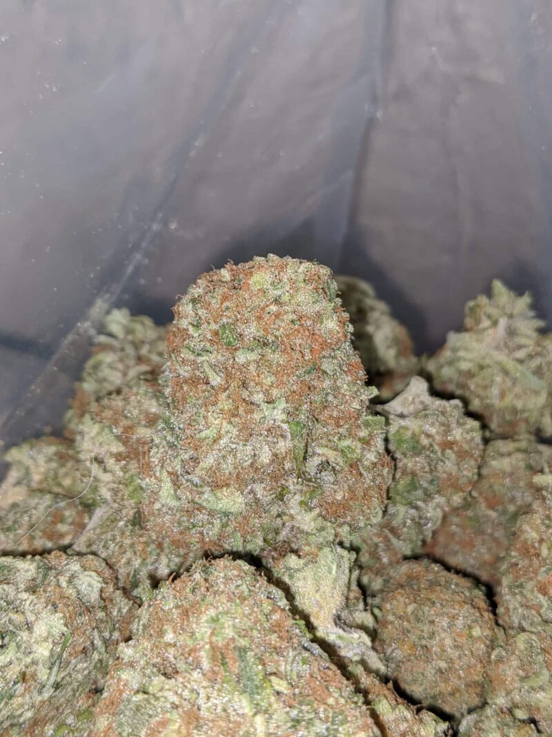 UK Cheese - Image 6