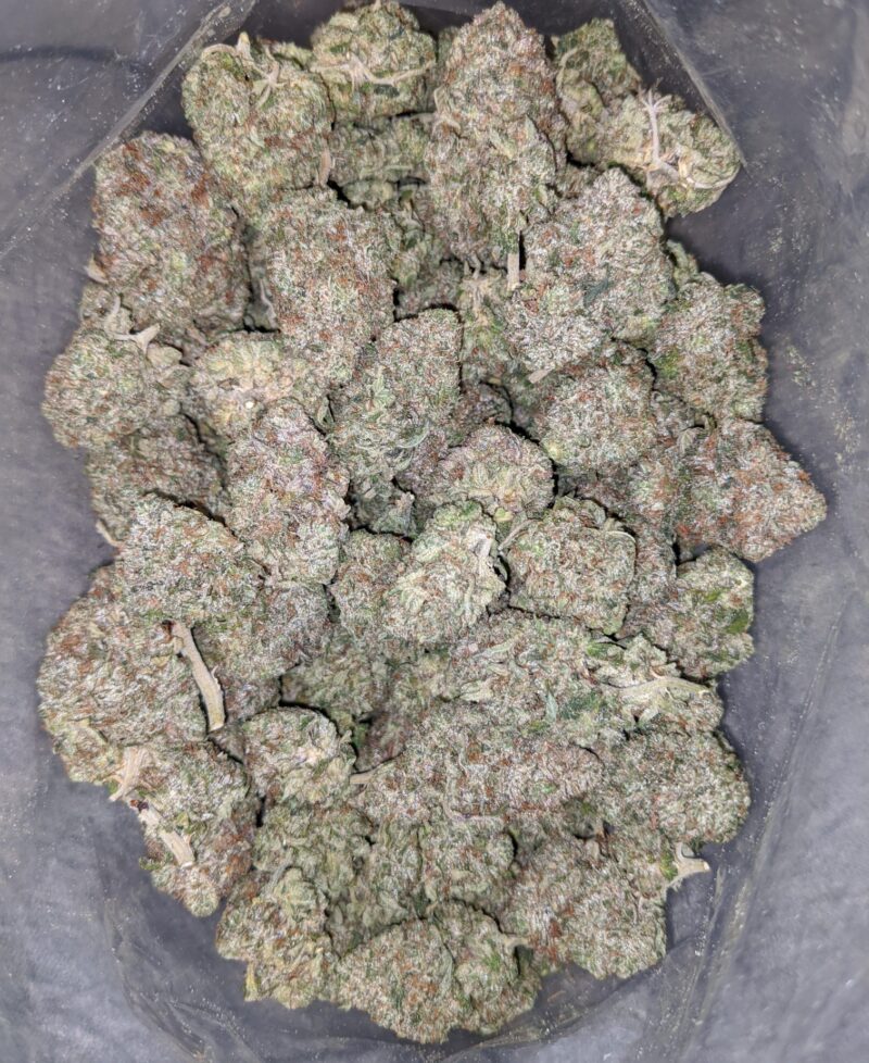 El Chapo AAA - Image 6
