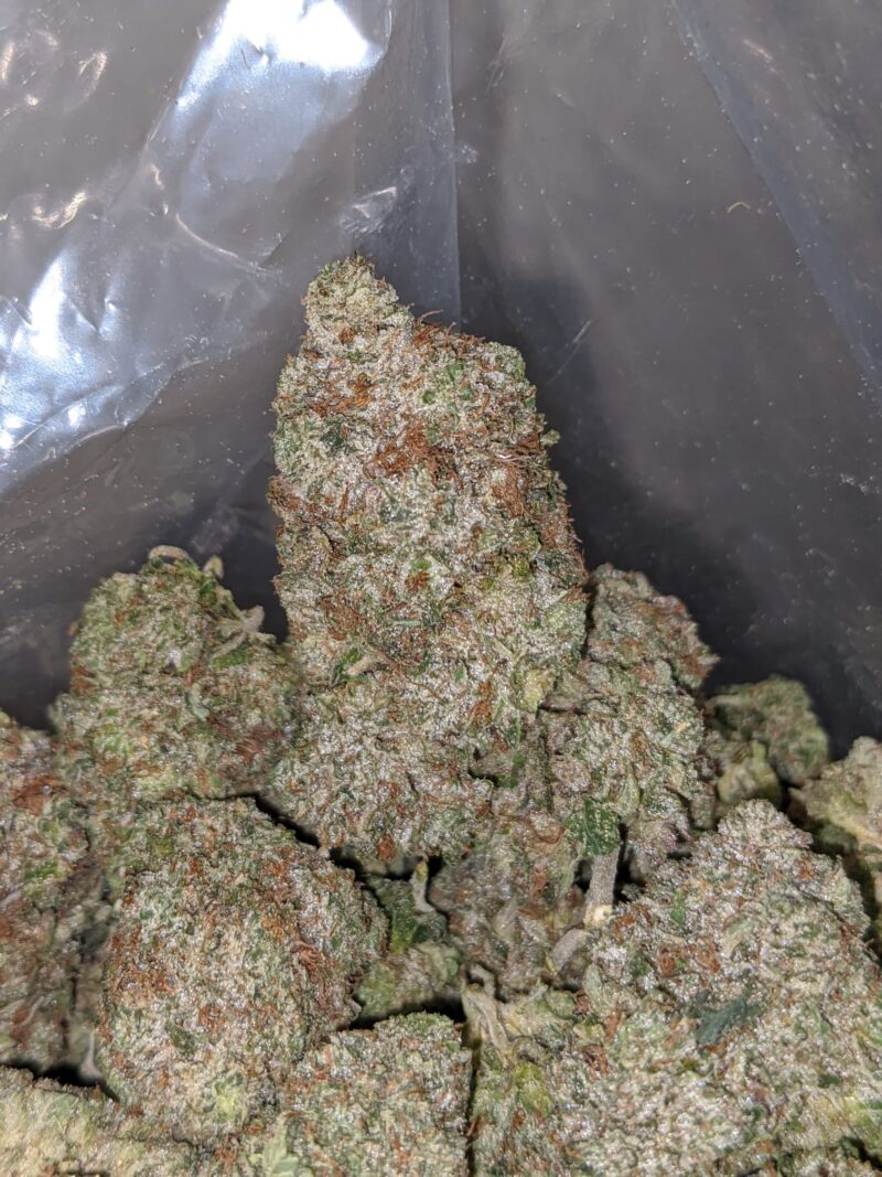 El Chapo AAA - Image 7