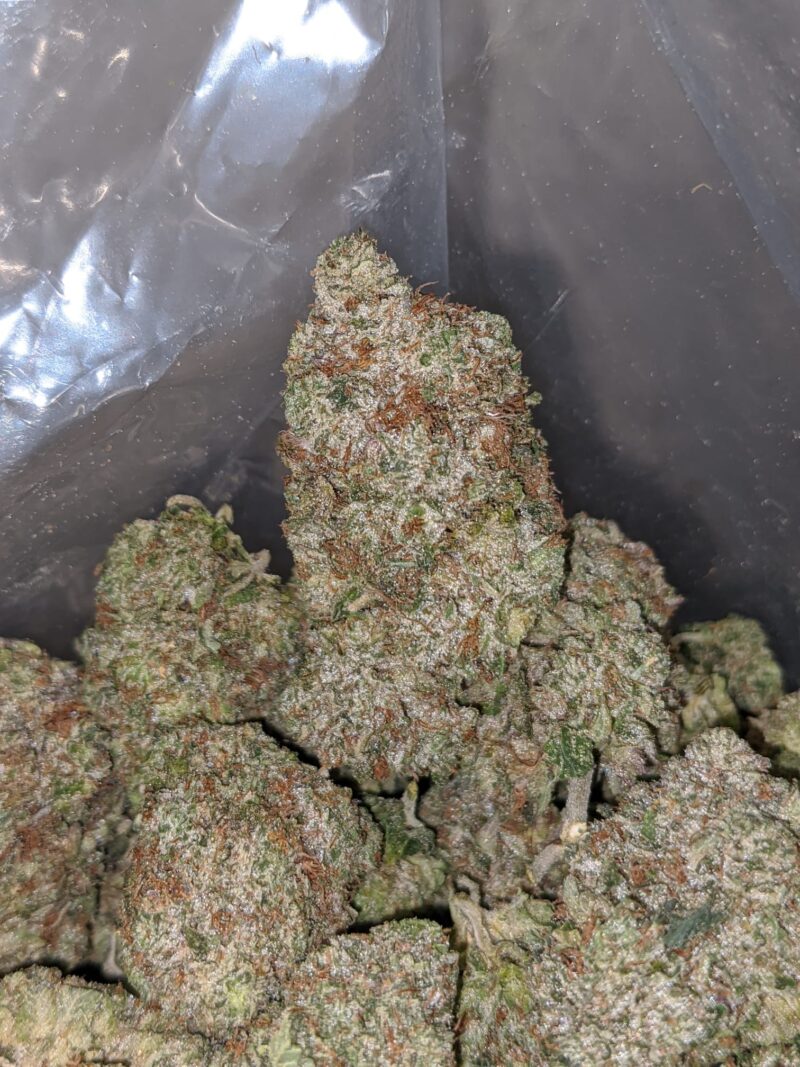 El Chapo AAA - Image 4