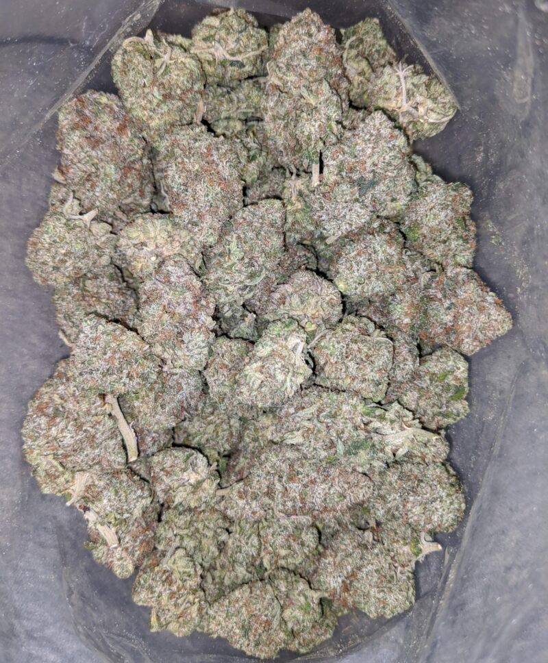 El Chapo AAA - Image 5