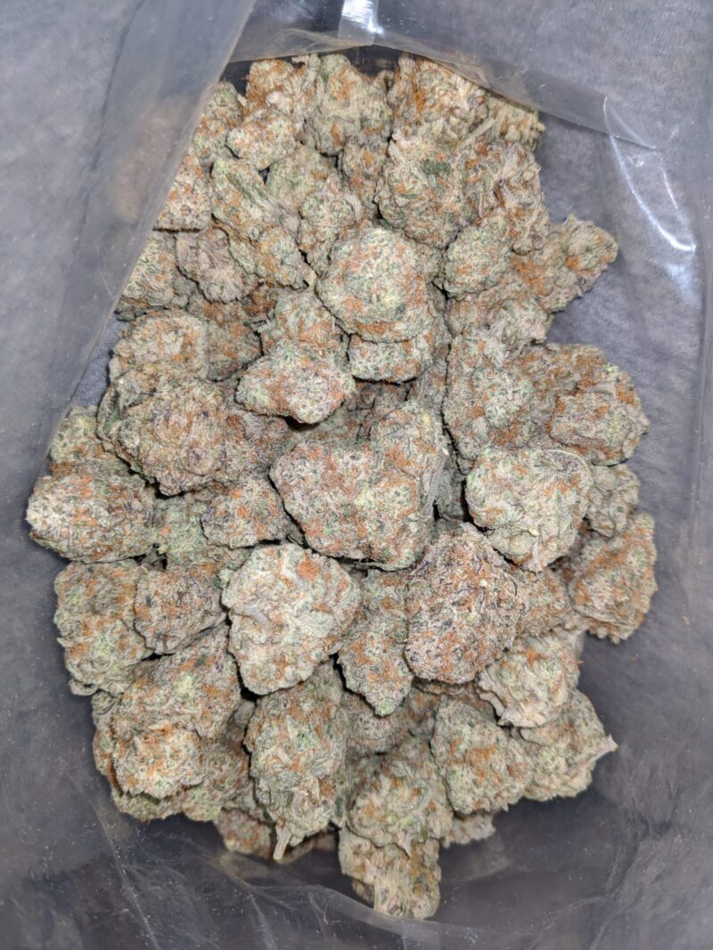 White Coconut - Image 5