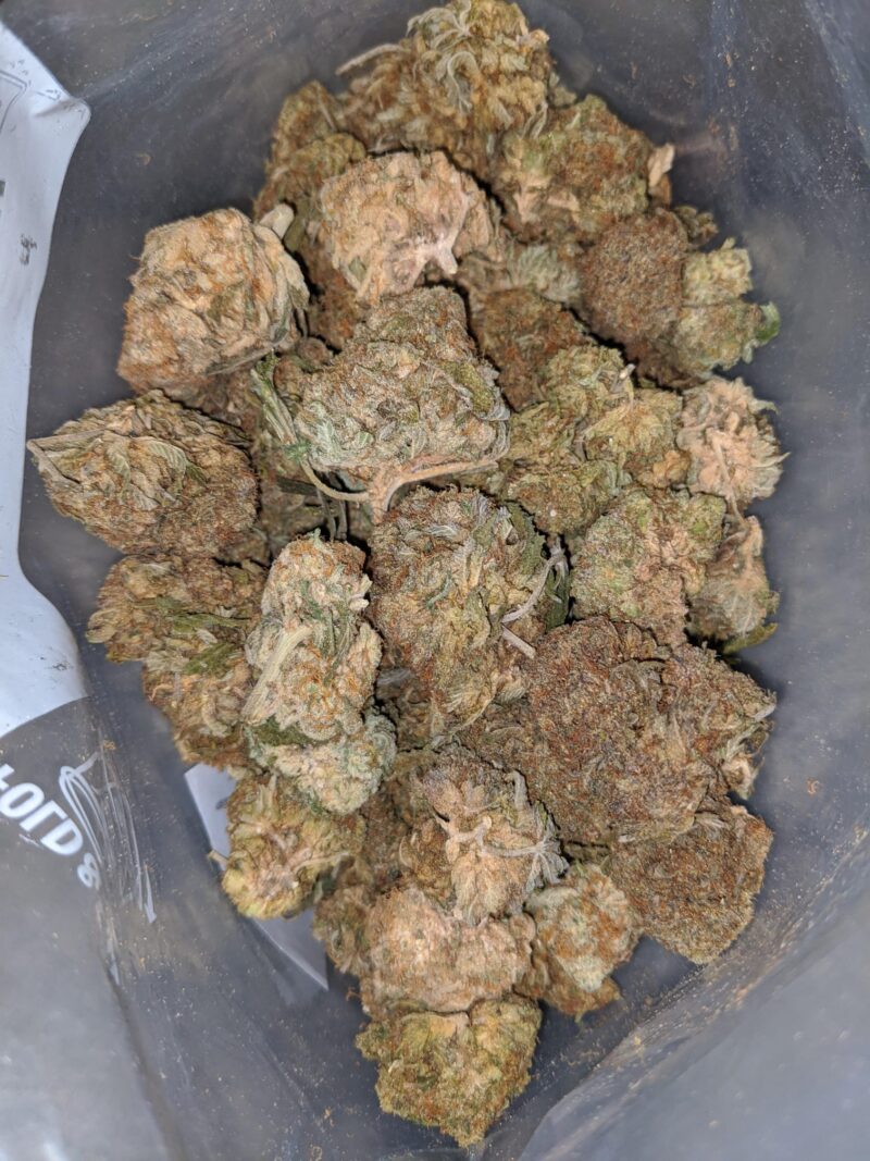 Black Bubba Bulk Special - Image 5