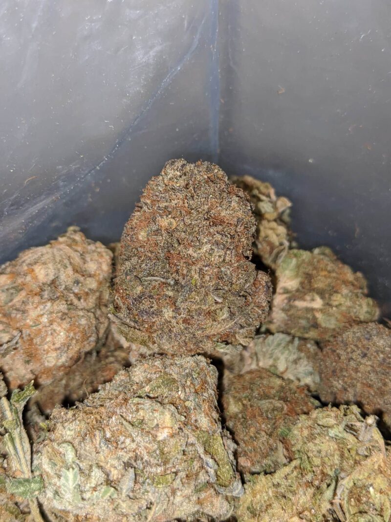 Black Bubba Bulk Special - Image 2