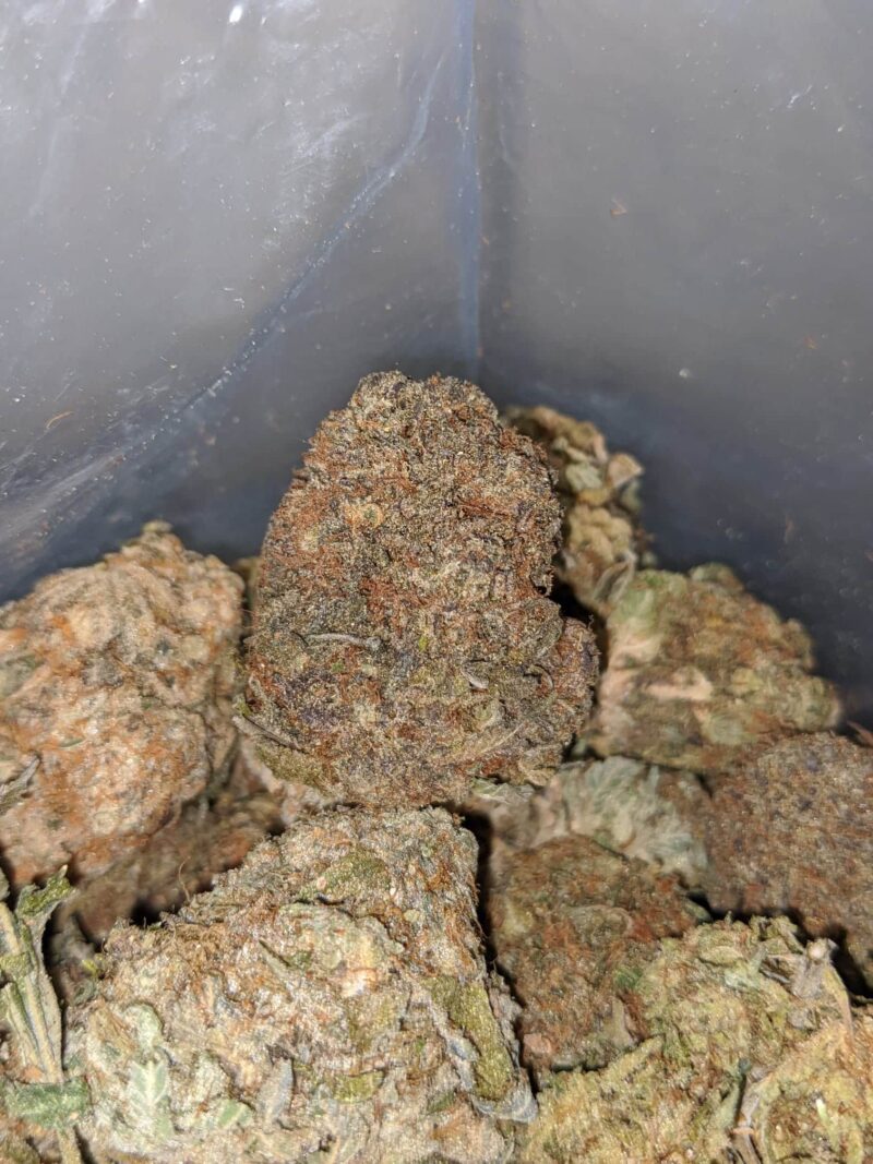 Black Bubba Bulk Special