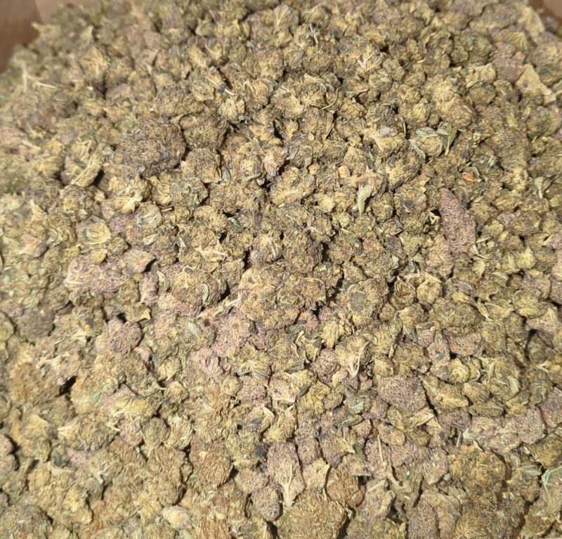 AA+ Bulk Special - Image 3