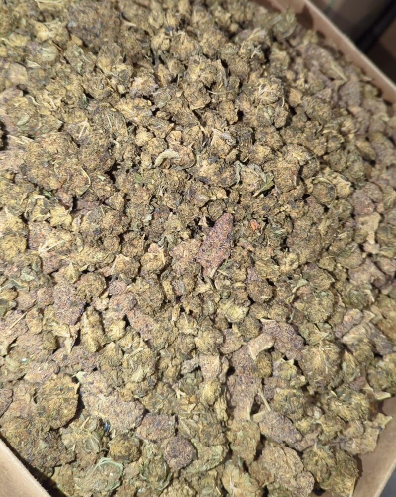 AA+ Bulk Special - Image 2