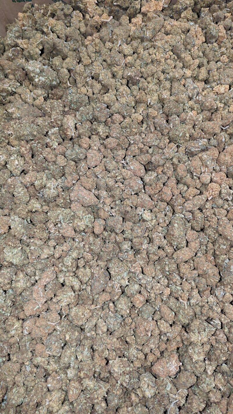 AA+ Bulk Special