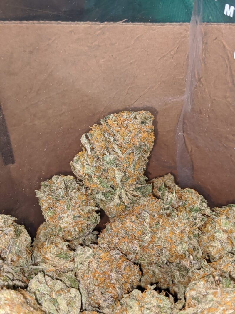 Gold Rush - Image 3