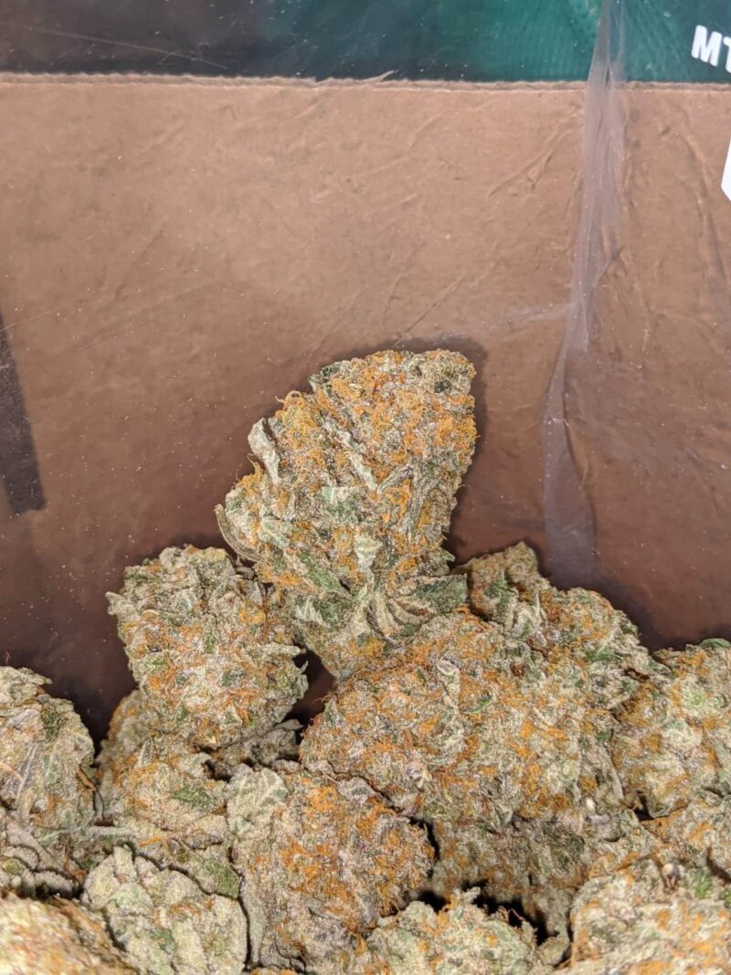 Gold Rush