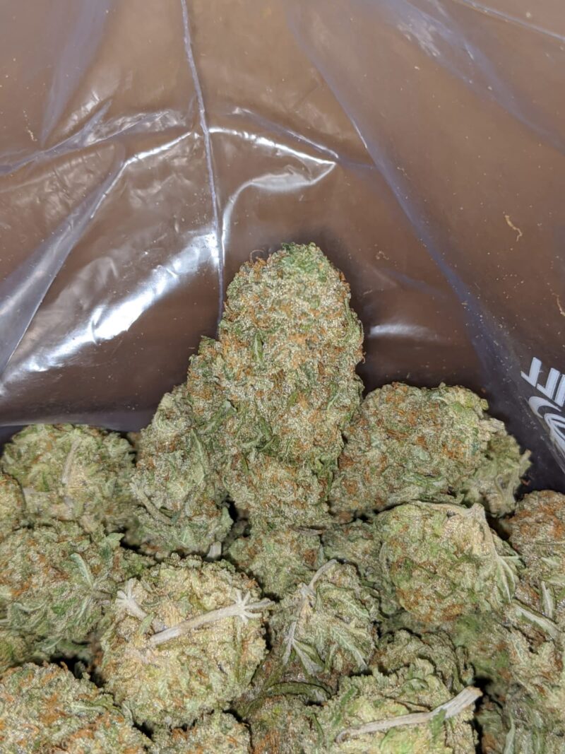 Nuken – *Deal Of The Day* - Image 4