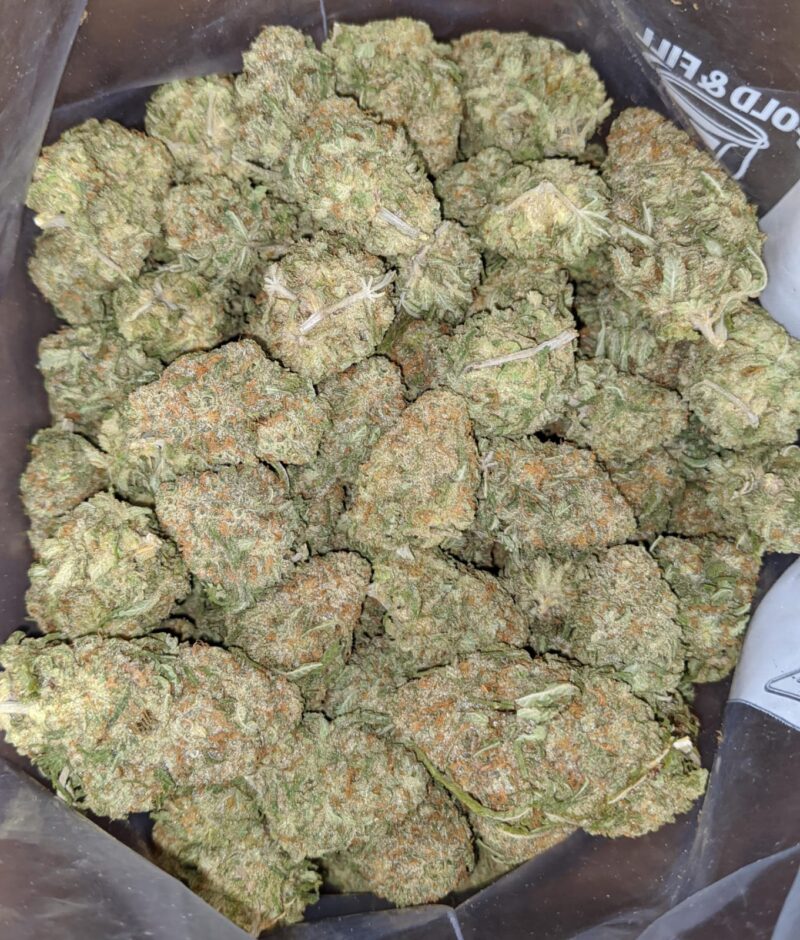 Nuken – *Deal Of The Day* - Image 5
