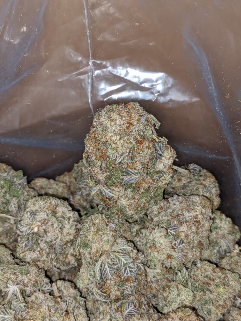 Space Zkittles - Image 4