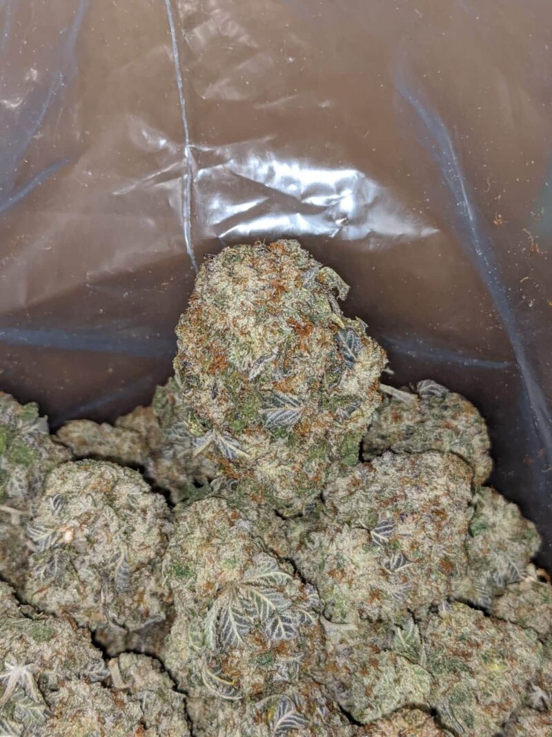 Space Zkittles - Image 5