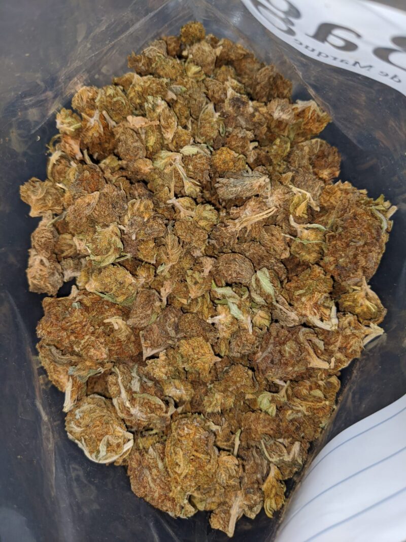 AA+ Bulk Special Indica - Image 5